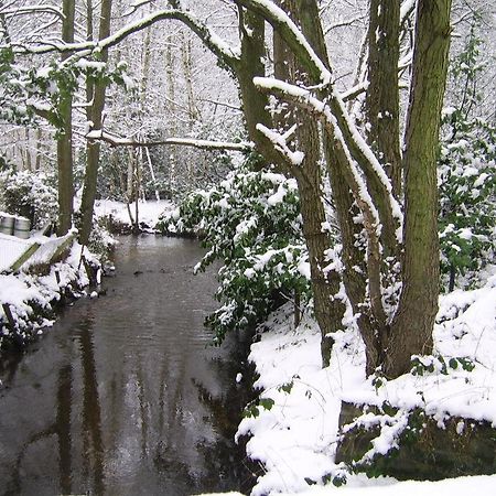 Bosbeekvallei Opoeteren Exterior foto