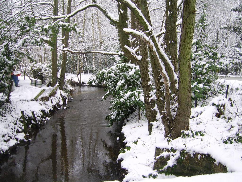 Bosbeekvallei Opoeteren Exterior foto