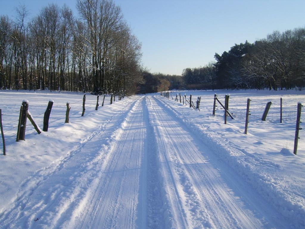 Bosbeekvallei Opoeteren Exterior foto